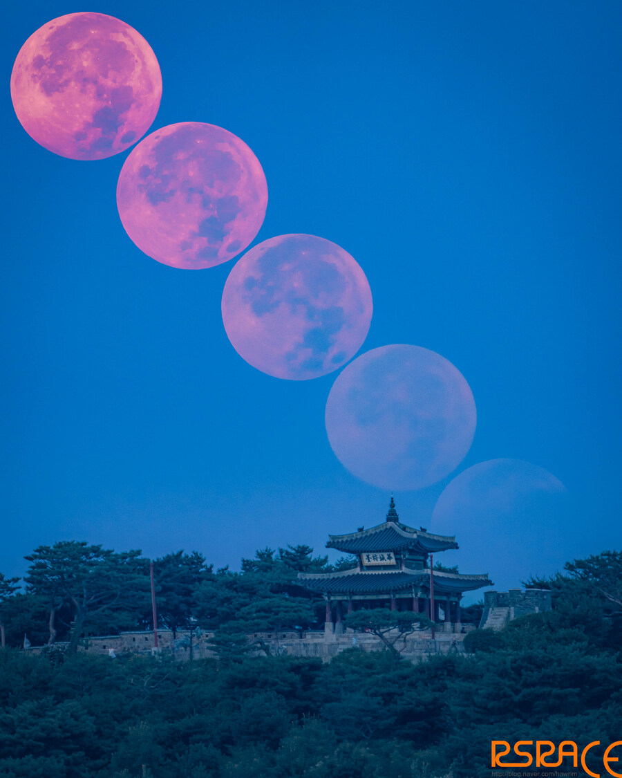 올해 찍은 밤산책 사진들 mk2 (스압)_4.jpg