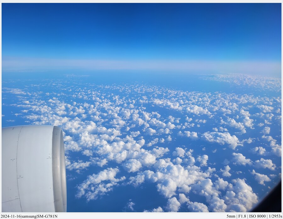 도쿄 여행기[24.11.16~21] - 1일차, 도쿄 경마장_8.jpg