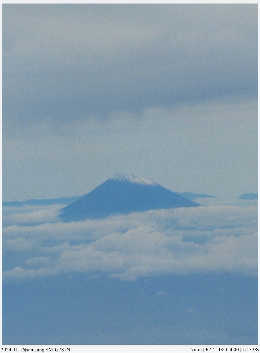 도쿄 여행기[24.11.16~21] - 1일차, 도쿄 경마장_11.jpg