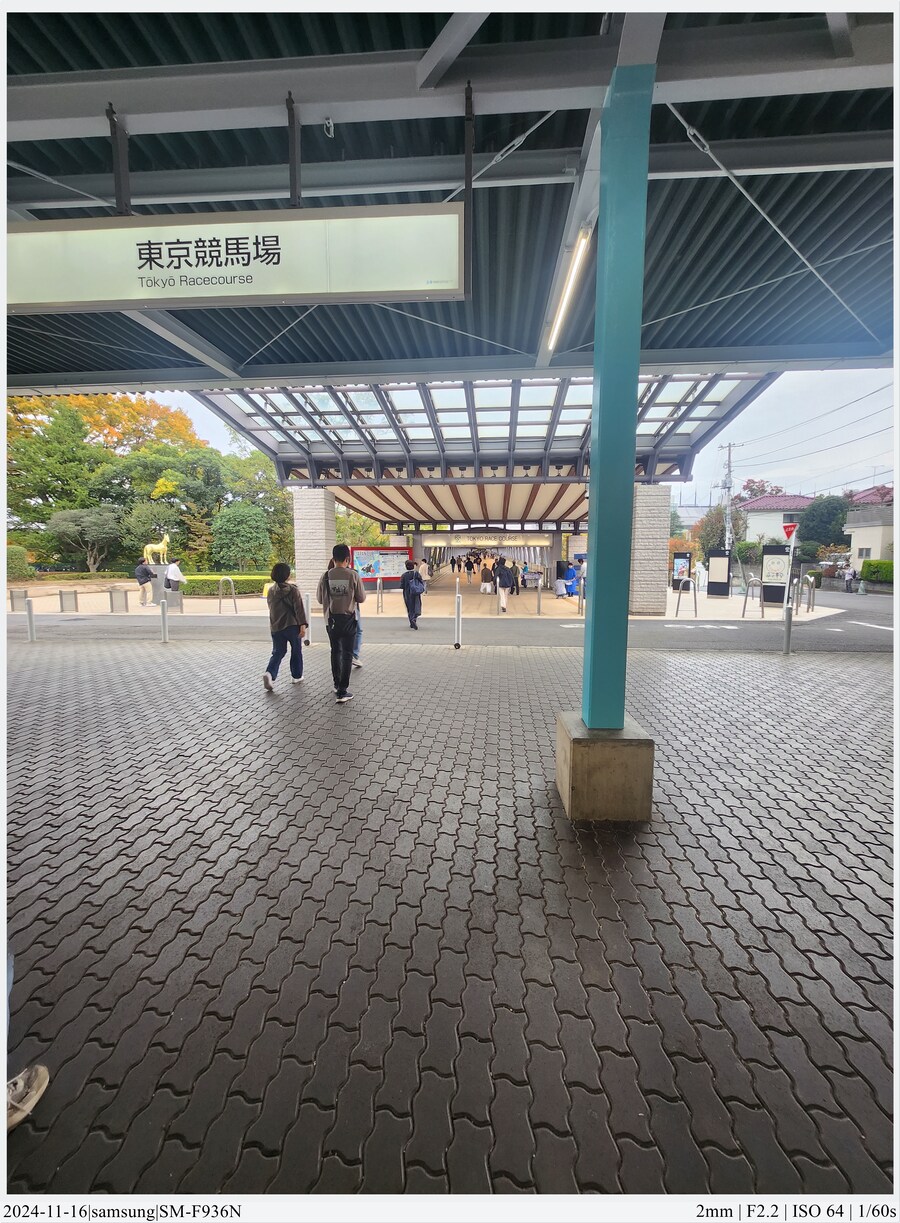 도쿄 여행기[24.11.16~21] - 1일차, 도쿄 경마장_25.jpg