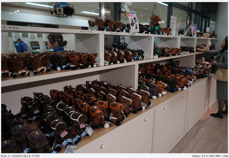 도쿄 여행기[24.11.16~21] - 1일차, 도쿄 경마장_34.jpg