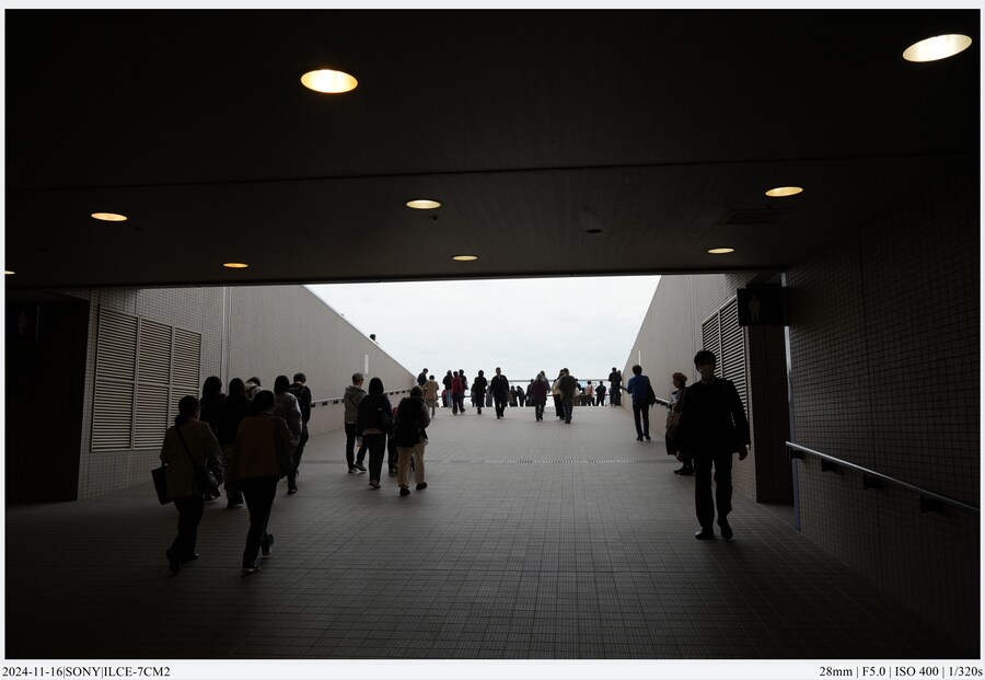 도쿄 여행기[24.11.16~21] - 1일차, 도쿄 경마장_35.jpg