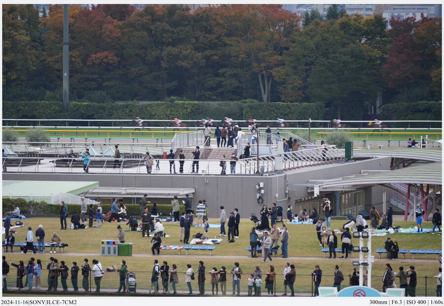 도쿄 여행기[24.11.16~21] - 1일차, 도쿄 경마장_40.jpg