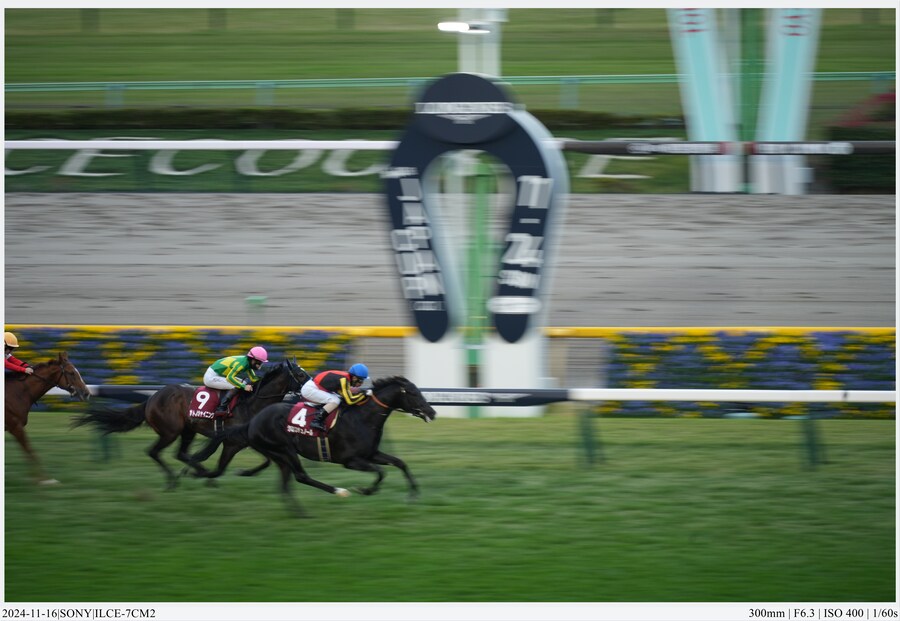 도쿄 여행기[24.11.16~21] - 1일차, 도쿄 경마장_42.jpg