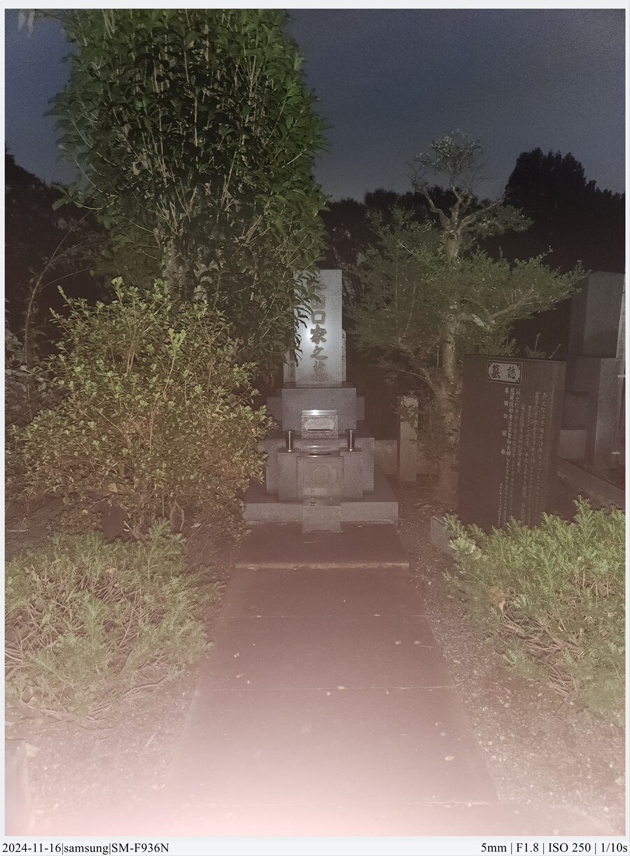 도쿄 여행기[24.11.16~21] - 1일차, 도쿄 경마장_48.jpg