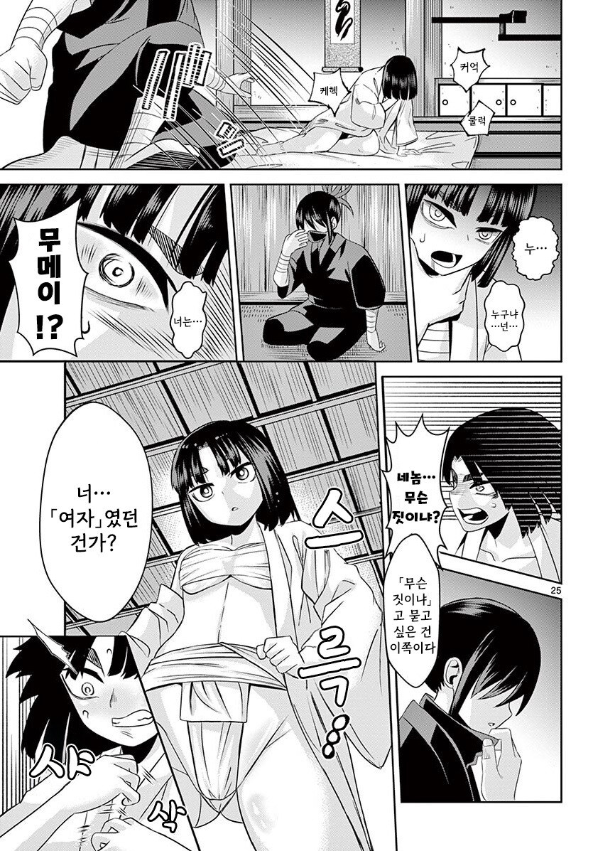 그림자와 그림자 만화 3부작 완결까지_25.jpg