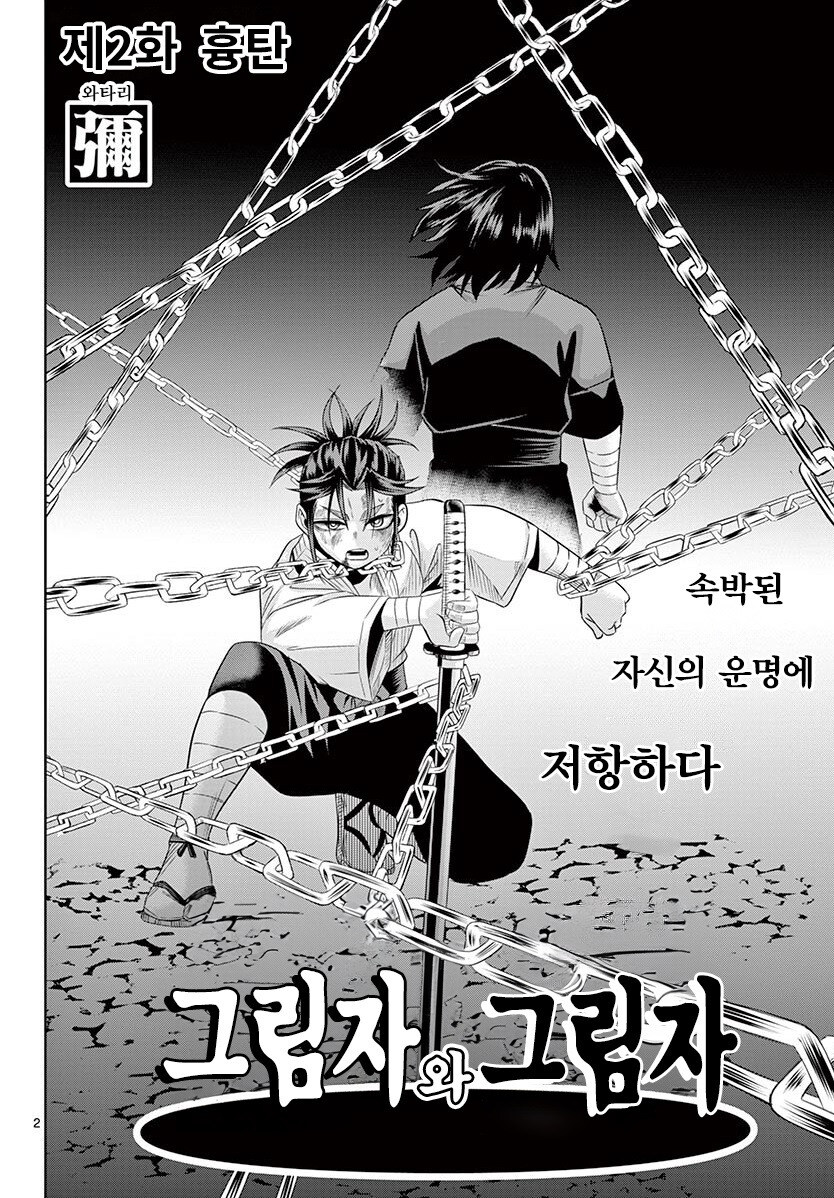 그림자와 그림자 만화 3부작 완결까지_42.jpg