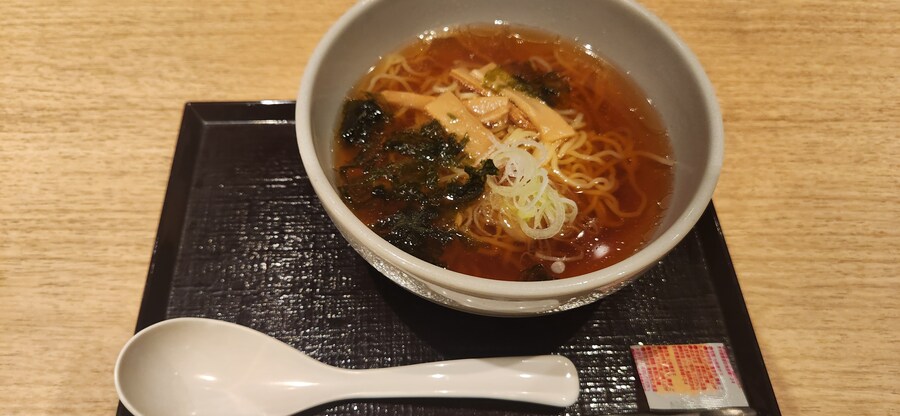 처음으로 혼자 떠난 해외여행 - 도쿄 4편 후지산 배경 문제의 그 장소를 가보다_53.jpg