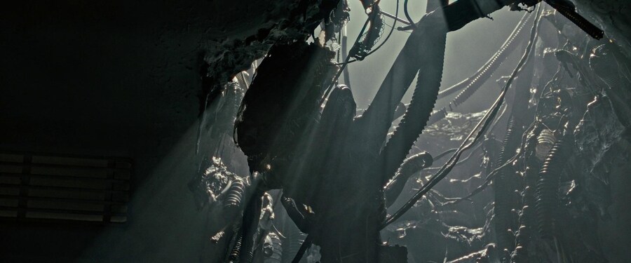 [스포일러] 영화 '에일리언: 로물루스' 65종 스틸_29.jpg