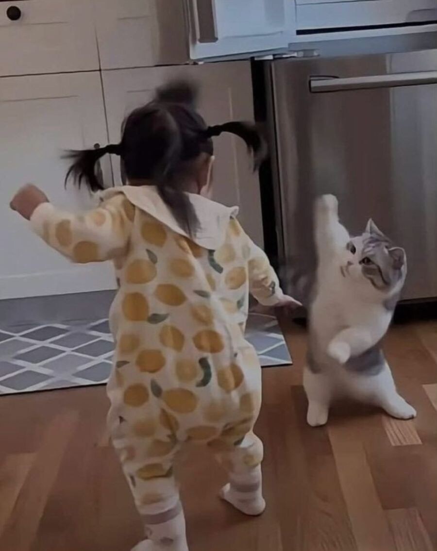 서열싸움 중입니다_1.jpg