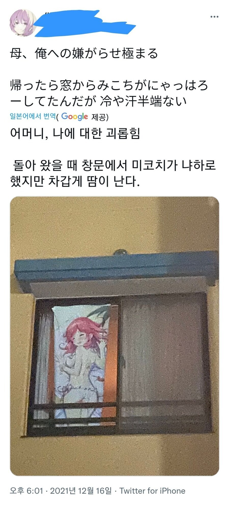 시어머니의 며느리 공개 자랑.jpg_1.jpg