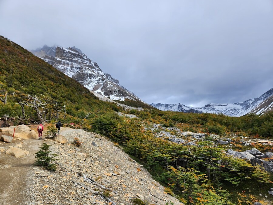 40대 아재의 남미여행 - 파타고니아 - 토레스 델 파이네_31.jpg