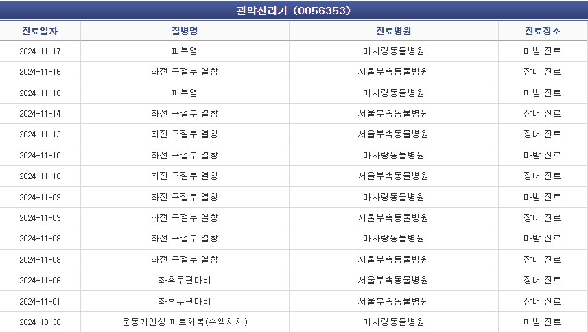 한국 최초의 코파노 리키(말딸 혈통) 자마 근황._2.png