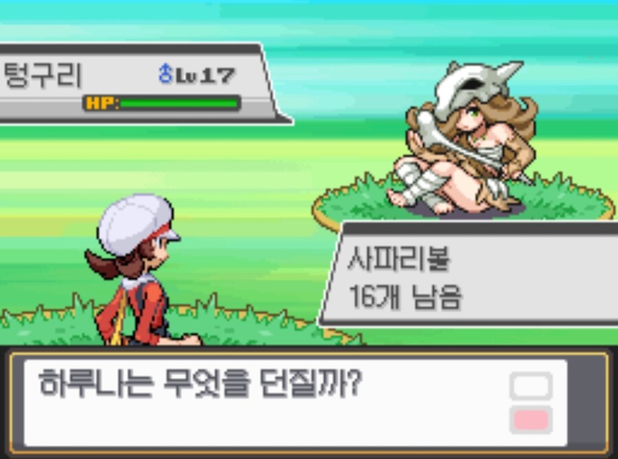포켓몬 최고의 리메이크 버전_16.jpg