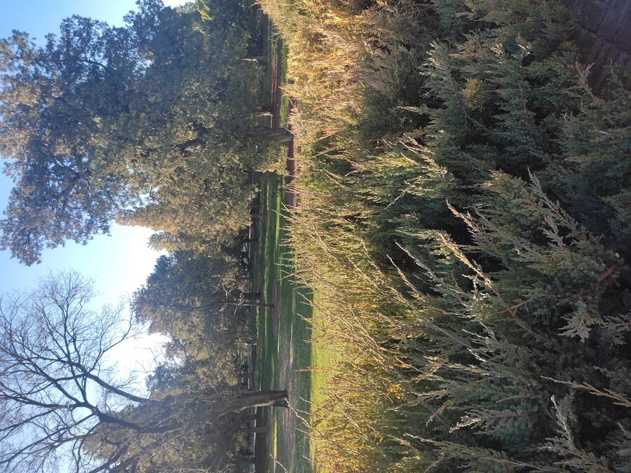 북경 여행 3_70.jpg