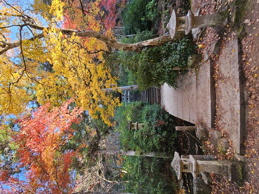 [수기] 일본 세토내해 늦가을 단풍여행 - 2.미야지마-히로시마_37.jpg