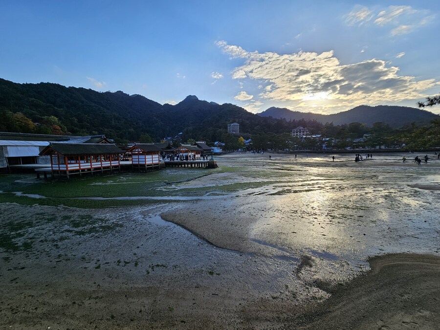 [수기] 일본 세토내해 늦가을 단풍여행 - 2.미야지마-히로시마_42.jpg