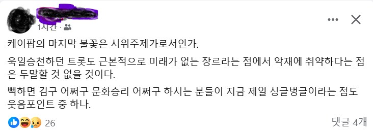 (페이스북) 탄핵 시위에 케이팝을 쓰는것에 마음에 안 든 어떤 유저_1.png
