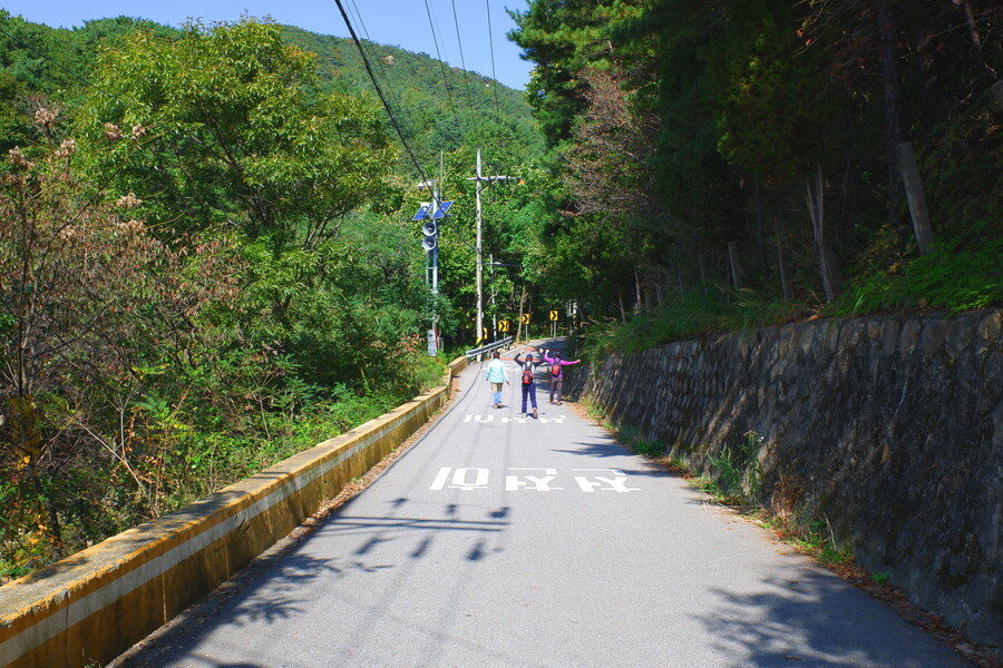 삼성산에 오르다 그리고 예술공원을 걷다_2.jpg