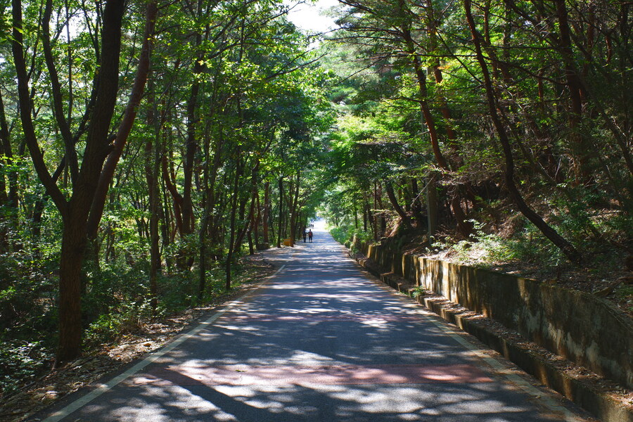 삼성산에 오르다 그리고 예술공원을 걷다_5.jpg