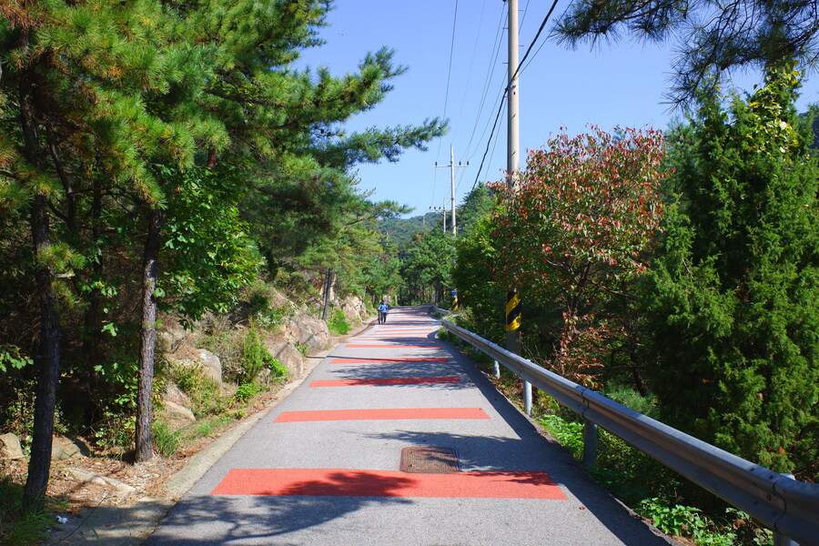 삼성산에 오르다 그리고 예술공원을 걷다_9.jpg