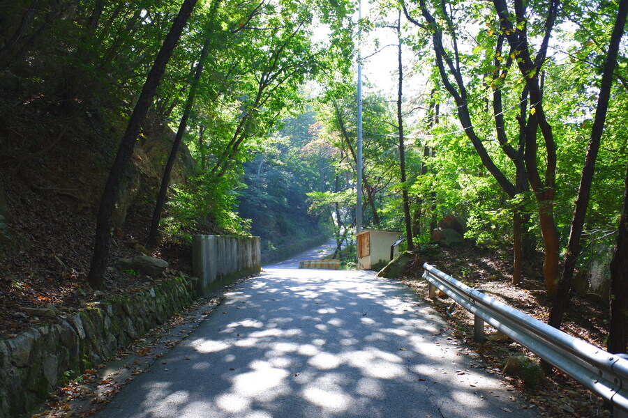 삼성산에 오르다 그리고 예술공원을 걷다_18.jpg