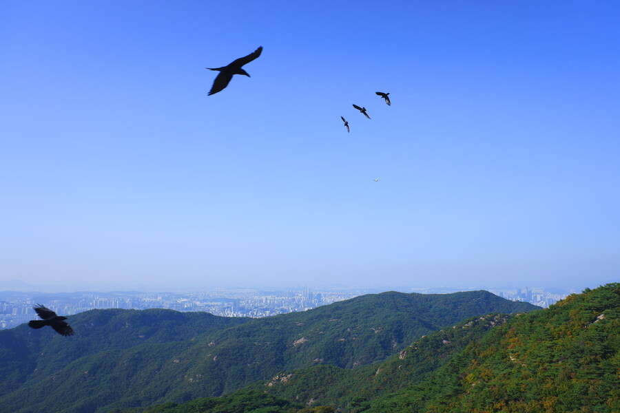 삼성산에 오르다 그리고 예술공원을 걷다_40.jpg