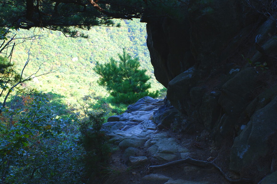 삼성산에 오르다 그리고 예술공원을 걷다_46.jpg