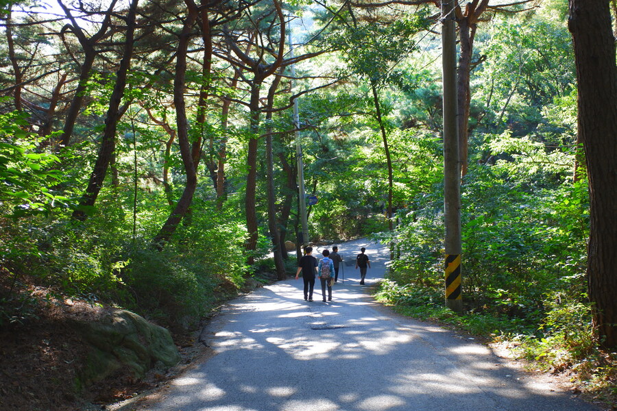 삼성산에 오르다 그리고 예술공원을 걷다_50.jpg