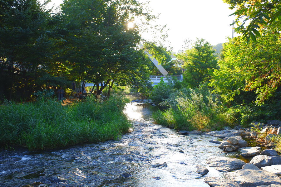 삼성산에 오르다 그리고 예술공원을 걷다_67.jpg
