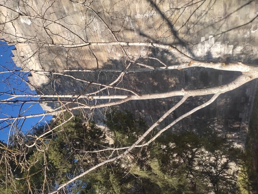 북경 여행 4_32.jpg