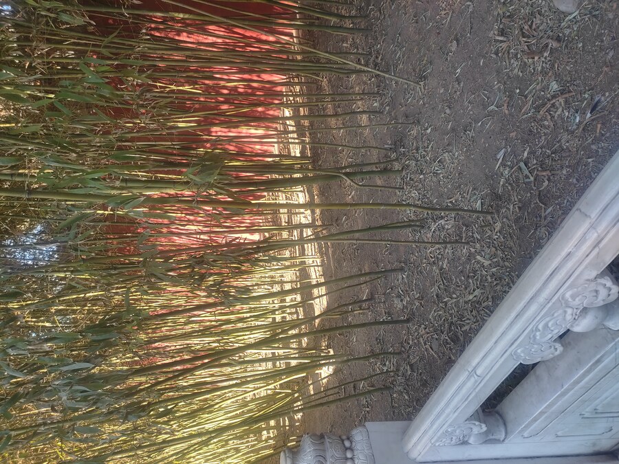 북경 여행 5_36.jpg