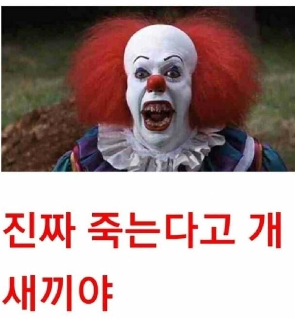 현재 미환율 완벽요약_1.png