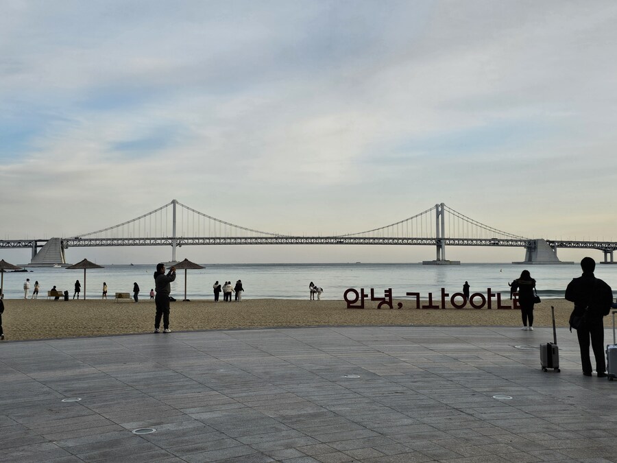 [부산] 방금 찍은 강알리 해변_1.jpg