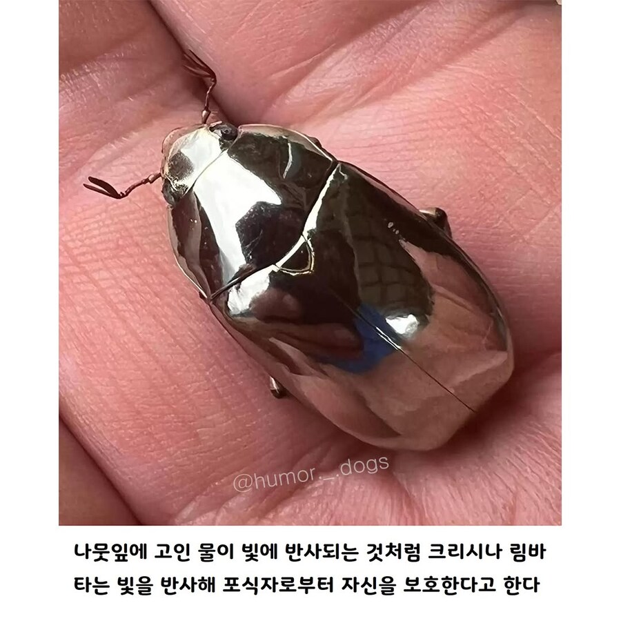 불꽃 4배_4.jpg