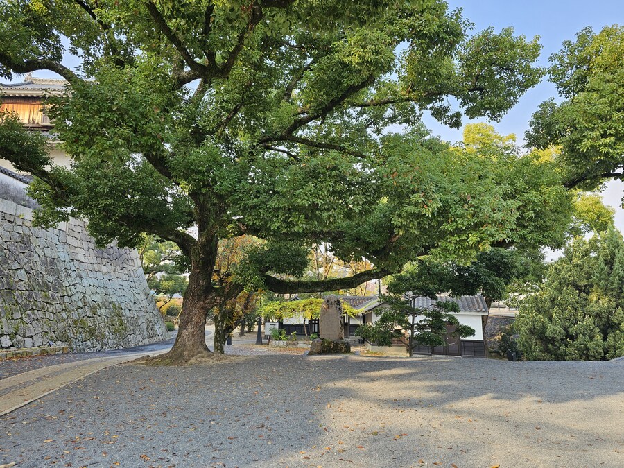 일본 세토내해 늦가을 단풍여행 - 3.오카야마-구라시키_12.jpg