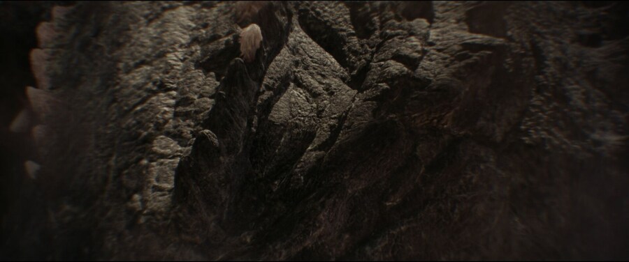 고질라) 최근 영화에서 가장 많이 싸웠던 고질라_8.jpg