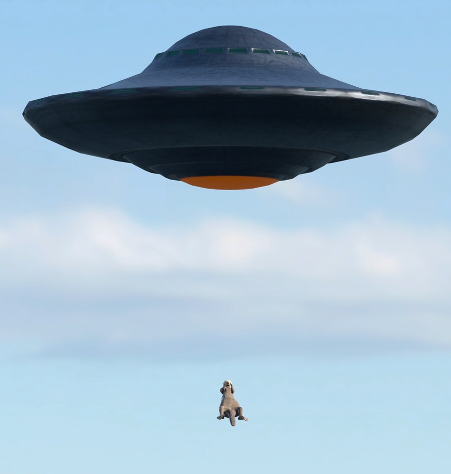 UFO, 괴수, 고양이_5.jpg