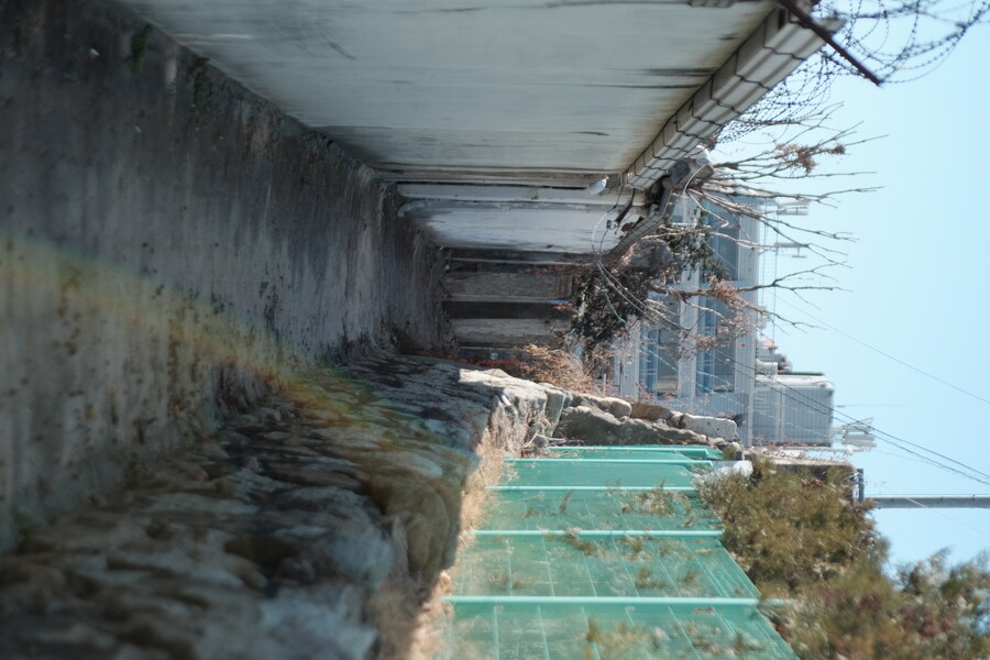 청첩장 받으러 오랜만에 다녀온 춘천🍂_21.jpg