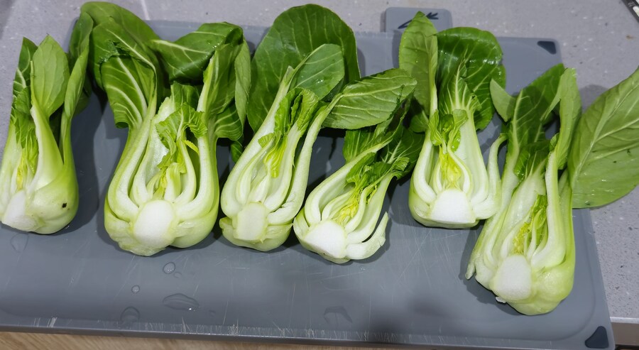 정석으로 동파육 만들기_12.jpg