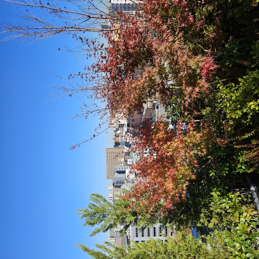 정말 날씨 좋았던 일본 치요다구 3박 4일 (스압주의)_25.jpg