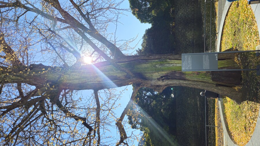 정말 날씨 좋았던 일본 치요다구 3박 4일 (스압주의)_47.jpg