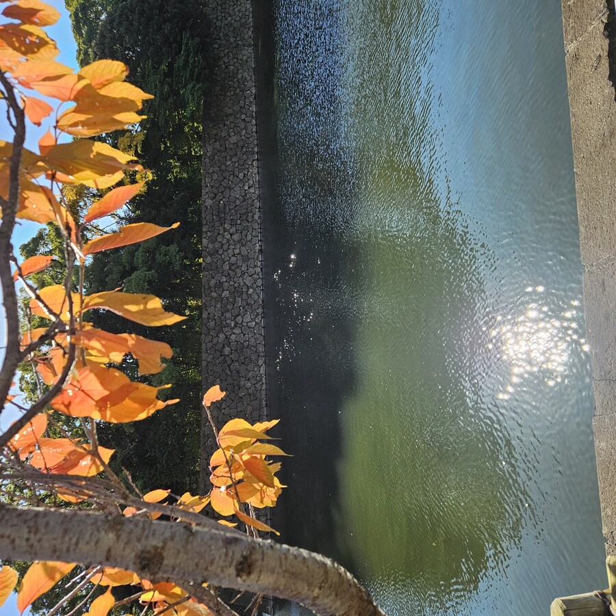 정말 날씨 좋았던 일본 치요다구 3박 4일 (스압주의)_50.jpg