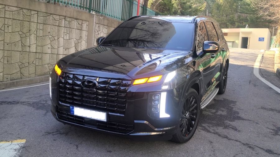 패밀리카에서 캠핑카로.. (팰리세이드 1년 후기)_1.jpeg