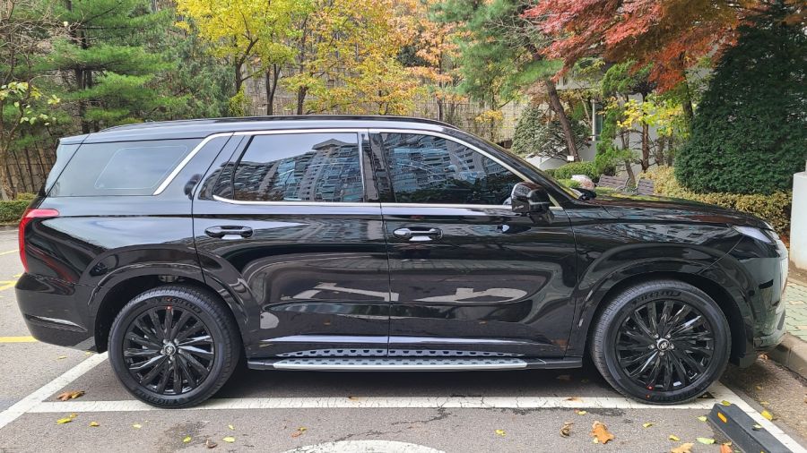 패밀리카에서 캠핑카로.. (팰리세이드 1년 후기)_2.jpeg