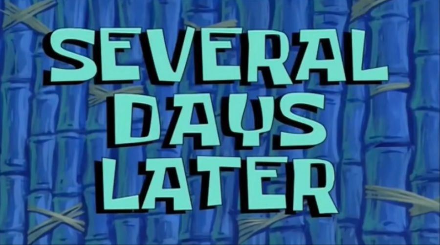 패밀리카에서 캠핑카로.. (팰리세이드 1년 후기)_6.jpg