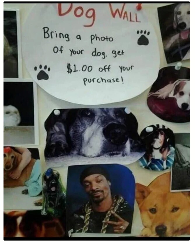 개 사진을 가져오면 할인해 드립니다.png_1.png