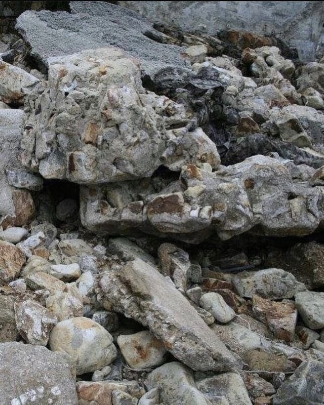 위장복 입는 이유...._4.jpg