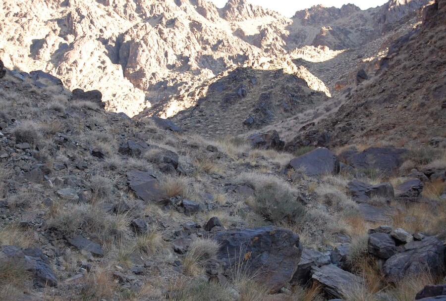 ??? : 5초안에 못찾으면 눈표범이 습격합니다!_7.jpg