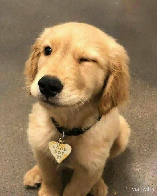 혈압주의)'근첩들의 실체'라고 불리는 짤의 진실 jpg._2.jpg